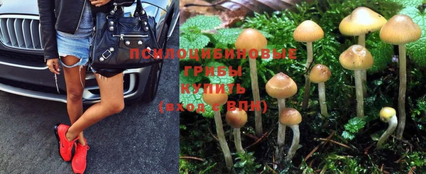 прущая мука Белокуриха