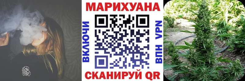 Каннабис Bruce Banner  Кувшиново 